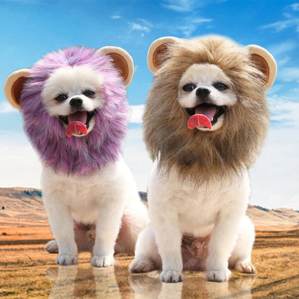 Halloween Ghost Lion Pet Transformation