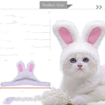 Halloween Ghost Lion Pet Transformation