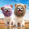 Halloween Ghost Lion Pet Transformation
