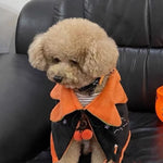 Halloween Pumpkin Double-Sided Cape for Dogs