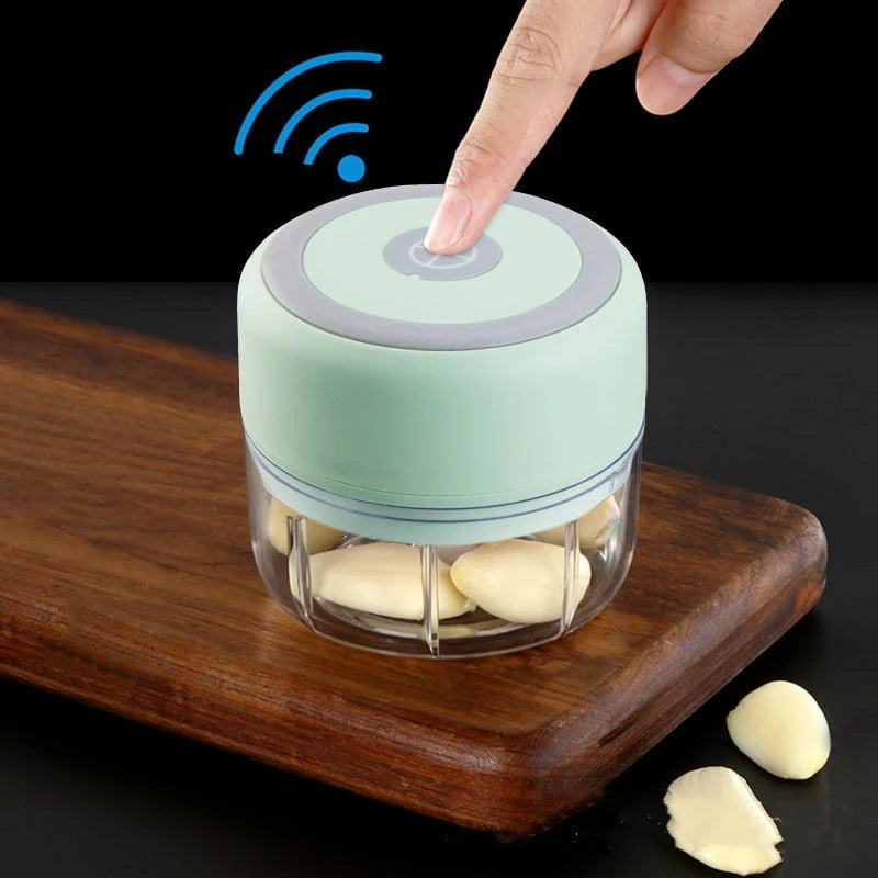 Electric Garlic Crushing Machine