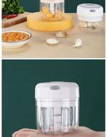 Electric Garlic Crushing Machine