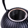 Cast Iron Japanese Teapot with Strainer
