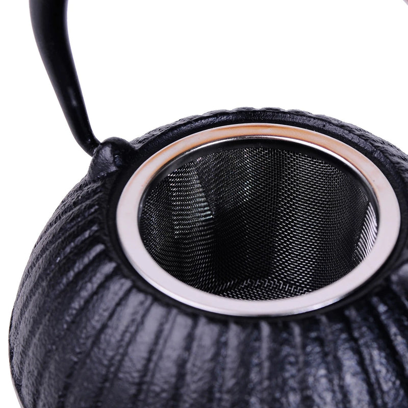 Cast Iron Japanese Teapot with Strainer