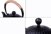 Cast Iron Japanese Teapot with Strainer