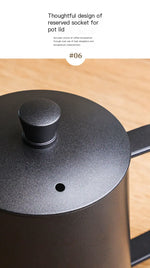 Stainless Steel Gooseneck Pour-Over Kettle